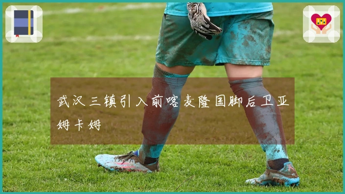 武汉三镇引入前喀麦隆国脚后卫亚姆卡姆