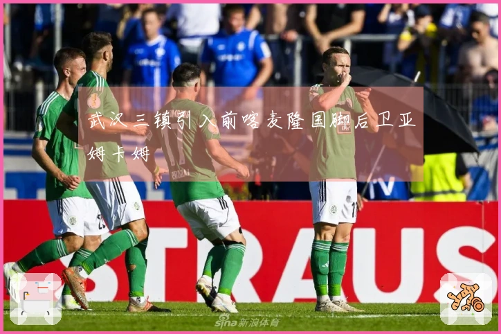 武汉三镇引入前喀麦隆国脚后卫亚姆卡姆